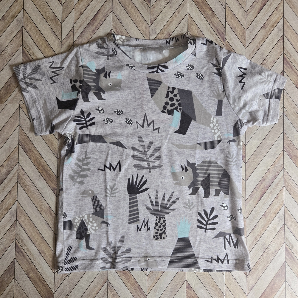 Boys Dinosaur T-Shirt Grey Short Sleeve Cartoon Dino Tee Prehistoric Soft Top